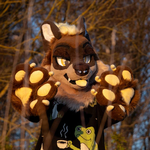 Fursuit Kostenvoranschlag