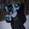 Devis Fursuit