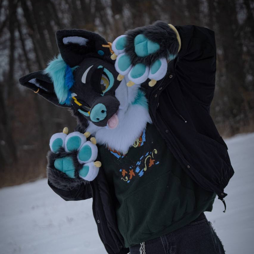 Devis Fursuit